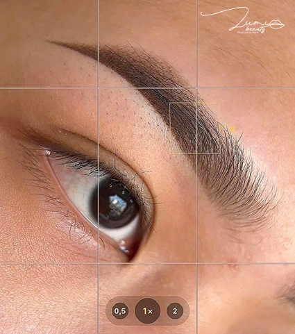 Tỉ lệ vừa phải – đầu mềm, đuôi rõ nét